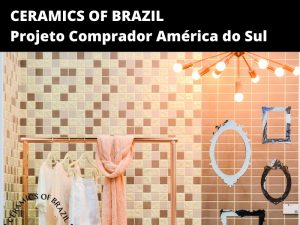 ANFACER realiza Projeto Comprador América do Sul 2021 com o apoio da Apex-Brasil